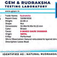 Nepali 8 Mukhi Gauri Shankar Rudraksha