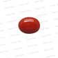 Natural Red Coral (Moonga) – Italy Origin – Certified & Untreated Gemstone for Mars Energy 4.56 CT