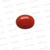 Natural Red Coral (Moonga) – Italy Origin – Certified & Untreated Gemstone for Mars Energy 4.56 CT