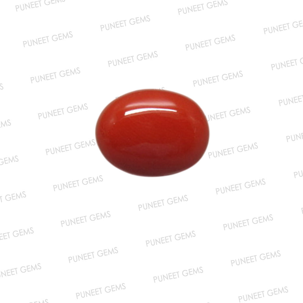 Natural Red Coral (Moonga) – Italy Origin – Certified & Untreated Gemstone for Mars Energy 4.56 CT