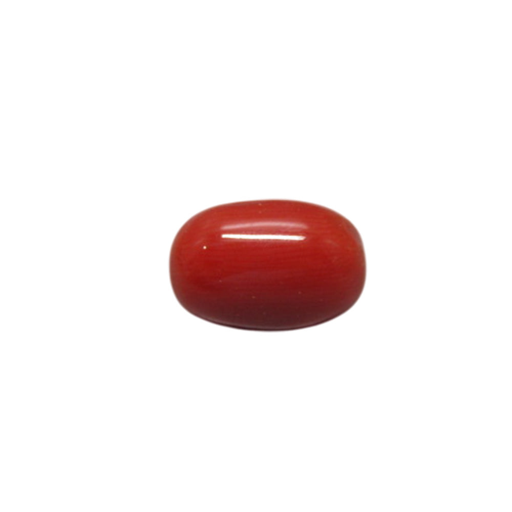 Natural Red Coral (Moonga) – Italy Origin – Certified & Untreated Gemstone for Mars Energy 3.94 CT