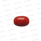 Natural Red Coral (Moonga) – Italy Origin – Certified & Untreated Gemstone for Mars Energy 3.94 CT