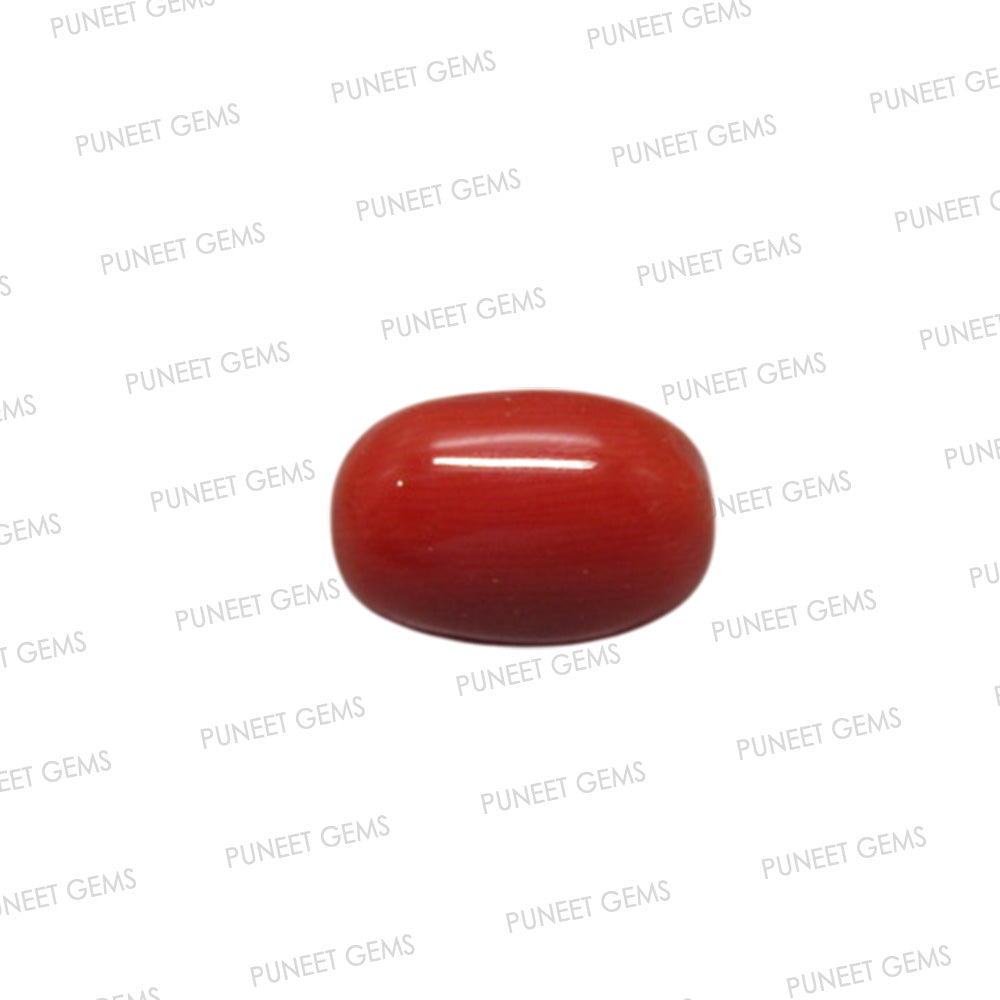 Natural Red Coral (Moonga) – Italy Origin – Certified & Untreated Gemstone for Mars Energy 3.94 CT