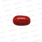 Natural Red Coral (Moonga) – Italy Origin – Certified & Untreated Gemstone for Mars Energy 3.97 CT