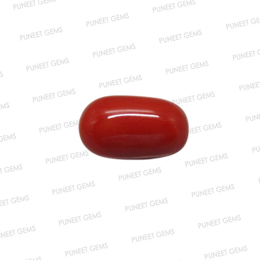 Natural Red Coral (Moonga) – Italy Origin – Certified & Untreated Gemstone for Mars Energy 3.97 CT