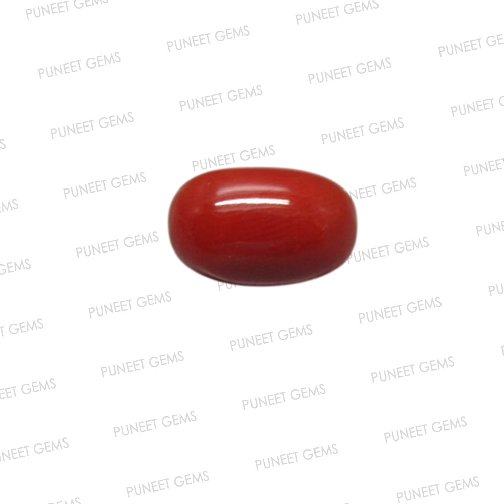 Natural Red Coral (Moonga) – Italy Origin – Certified & Untreated Gemstone for Mars Energy 3.87 CT