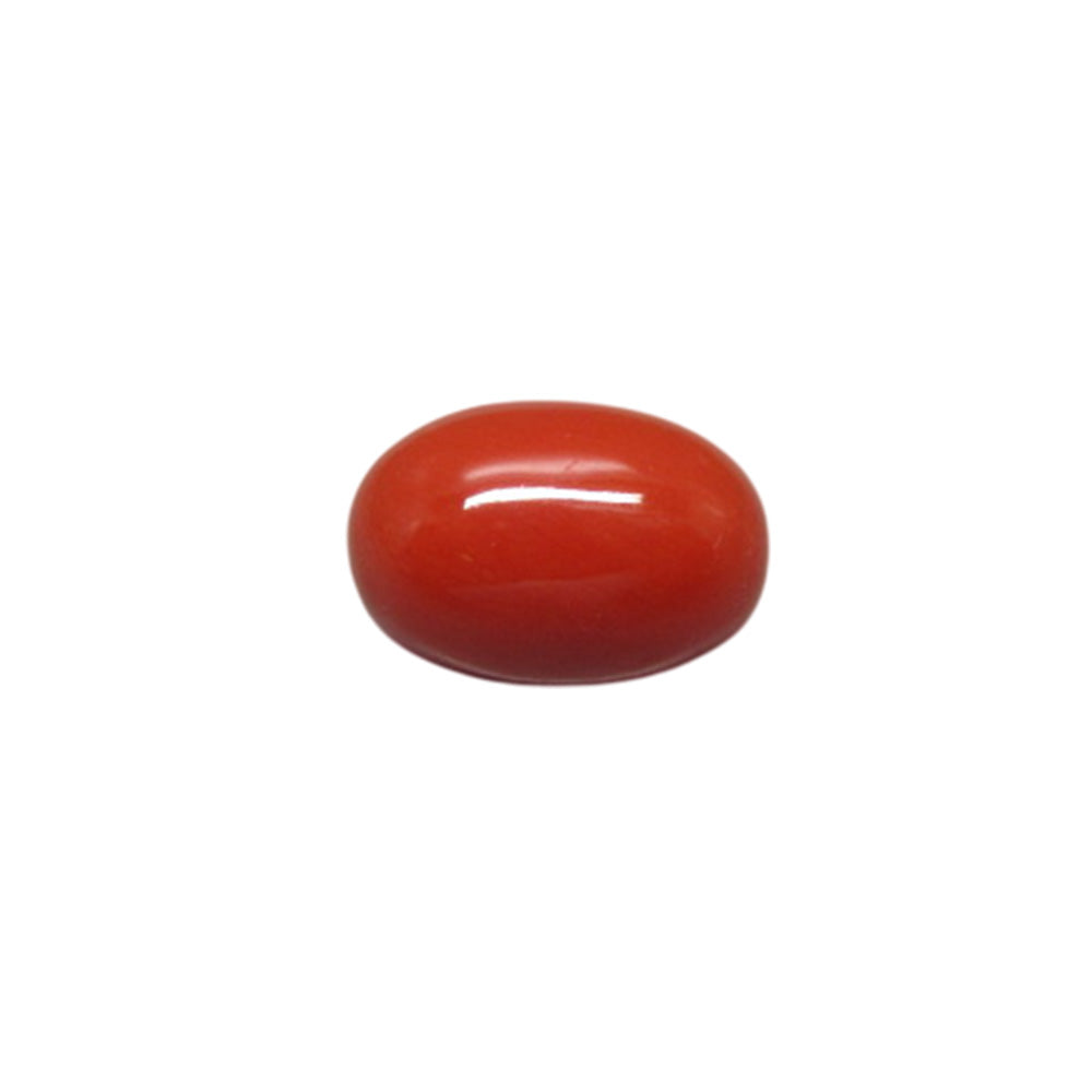 Natural Red Coral (Moonga) – Italy Origin – Certified & Untreated Gemstone for Mars Energy 3.95 CT