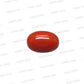 Natural Red Coral (Moonga) – Italy Origin – Certified & Untreated Gemstone for Mars Energy 3.95 CT
