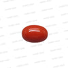 Natural Red Coral (Moonga) – Italy Origin – Certified & Untreated Gemstone for Mars Energy 3.95 CT