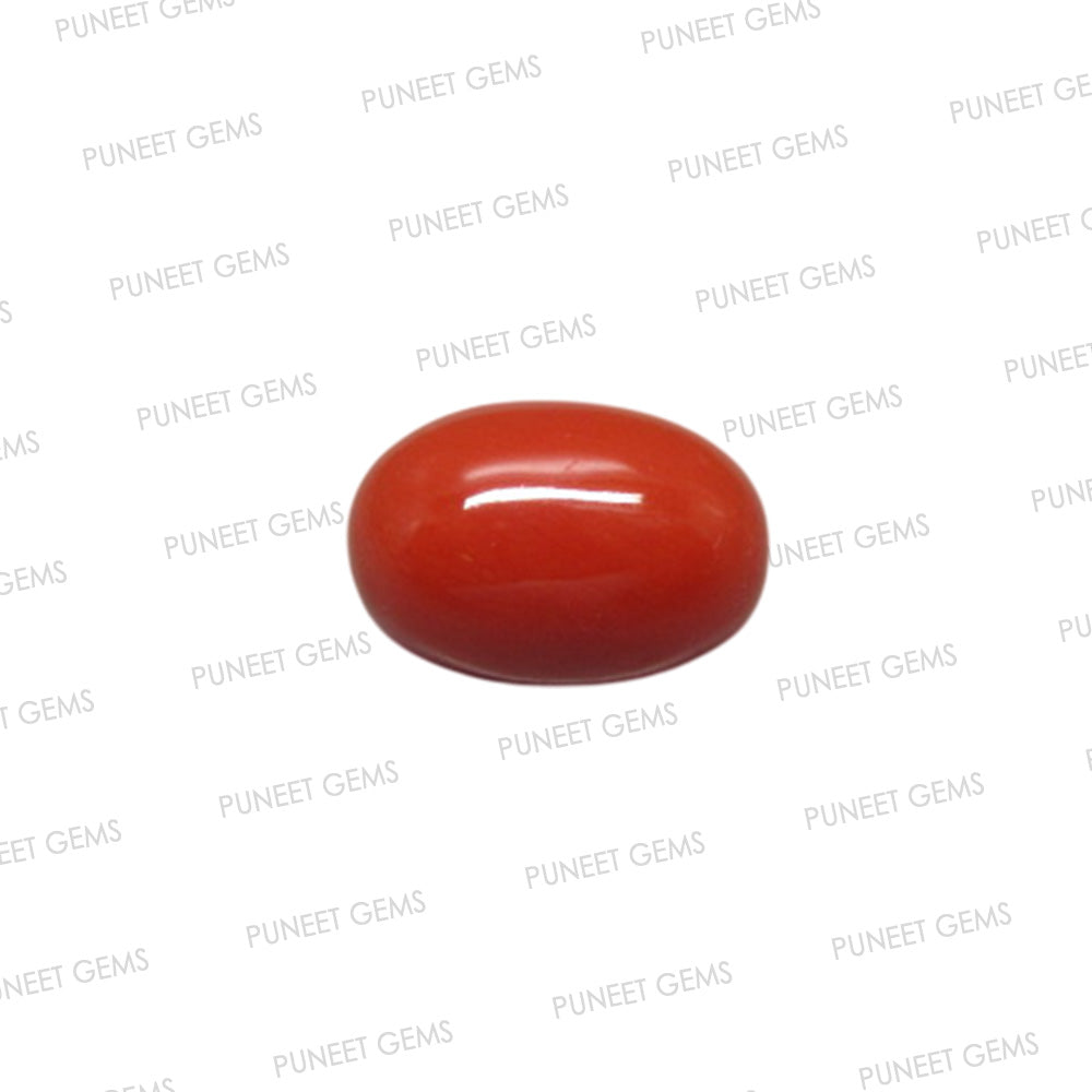 Natural Red Coral (Moonga) – Italy Origin – Certified & Untreated Gemstone for Mars Energy 3.95 CT