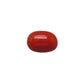 Natural Red Coral (Moonga) – Italy Origin – Certified & Untreated Gemstone for Mars Energy 4.16 CT