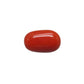 Natural Red Coral (Moonga) – Italy Origin – Certified & Untreated Gemstone for Mars Energy 4.57 CT