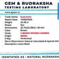 Nepali 4 Mukhi Double Ganesh Rudraksha