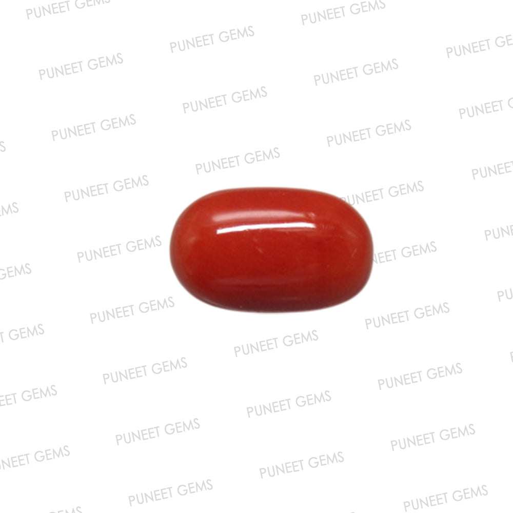 Natural Red Coral (Moonga) – Italy Origin – Certified & Untreated Gemstone for Mars Energy 3.90 CT