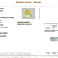 Natural Yellow Sapphire (Pukhraj) 4.72 CT - Certified