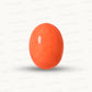 Red Coral Japanese – Natural Moonga for Strength 21.39 CT