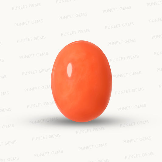 Red Coral Japanese – Natural Moonga for Strength 21.39 CT