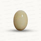 Australian Opal – The Gem of Radiant Fire, Rarity & Intuition 23.53 CT