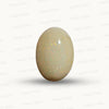 Australian Opal – The Gem of Radiant Fire, Rarity & Intuition 23.52 CT