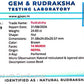 🌿 14 Mukhi Nepali Rudraksha (Natural & Certified). Antik