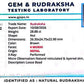 Nepali 4 Mukhi Rudraksha