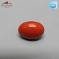 Red Natural Japanese Coral 6.12 Ct – Certified Gemstone