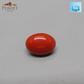 Red Natural Japanese Coral 6.30 CT – Certified Gemstone