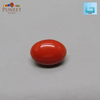 Red Natural Japanese Coral 6.30 CT – Certified Gemstone