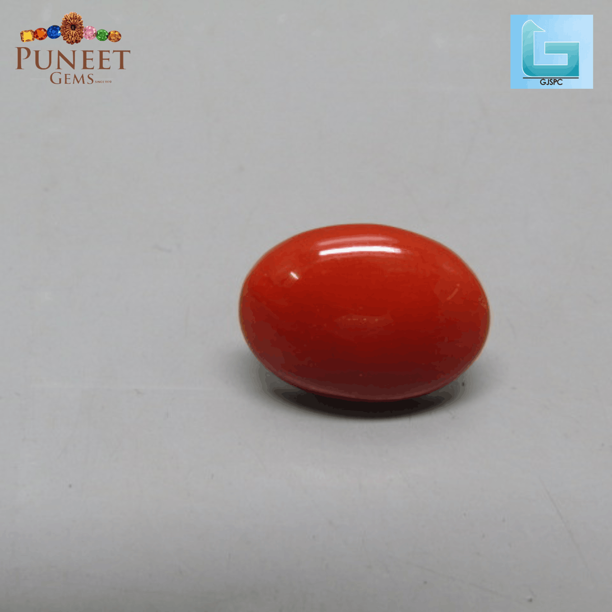 Red Natural Japanese Coral 6.72 CT – Certified Gemstone