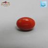 Red Natural Japanese Coral 5.11 CT – Certified Gemstone