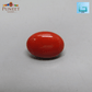 Red Natural Japanese Coral 5.70 CT – Certified Gemstone