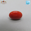 Red Natural Japanese Coral 5.00 CT – Certified Gemstone