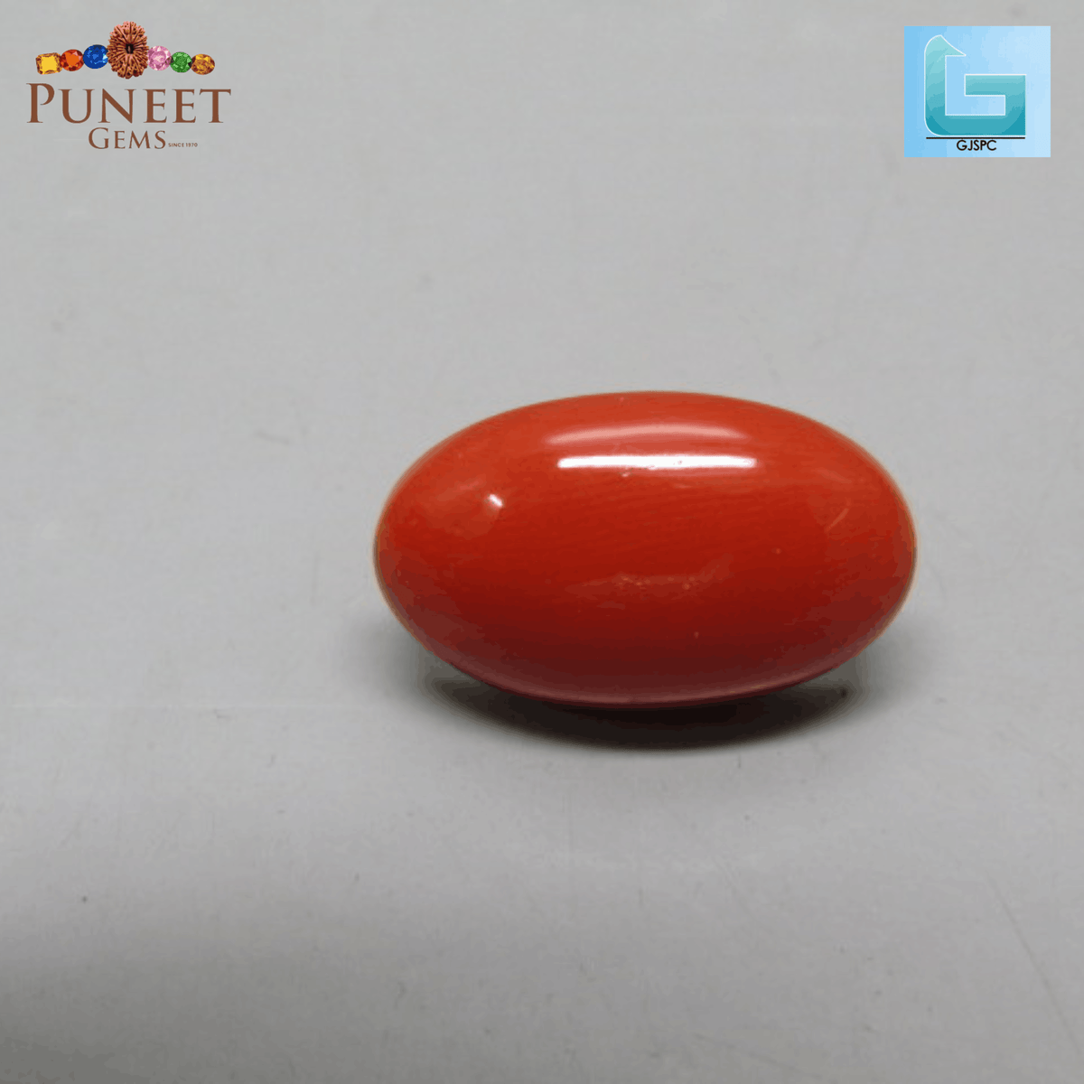 Red Natural Japanese Coral 8.17 CT – Certified Gemstone