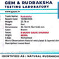 Nepali 9 Mukhi Gauri Shankar Rudraksha