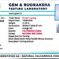 Coral Ganesh 21.69 CT – Certified Gemstone