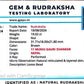 Nepali 11 Mukhi Gauri Shankar Rudraksha