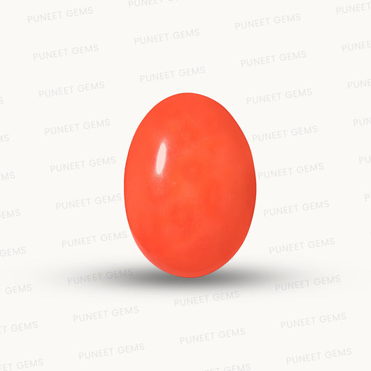 Red Coral Japanese – Natural Moonga for Strength 3.38 CT (Copy)