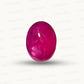 Natural Ruby Mozambique Pota – Premium Quality Uncut Ruby Gemstone | Certified Manik Stone 3.39 CT