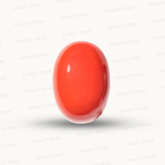 Natural Coral Gemstone – The Gem of Strength, Vitality & Protection 3.47 CT