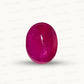 Natural Ruby Mozambique Pota – Premium Quality Uncut Ruby Gemstone | Certified Manik Stone 3.53 CT