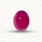 Natural Ruby Mozambique Pota – Premium Quality Uncut Ruby Gemstone | Certified Manik Stone 3.64 CT