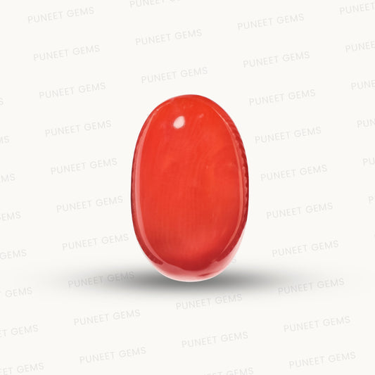 Natural Coral Gemstone – The Gem of Strength, Vitality & Protection 3.86 CT