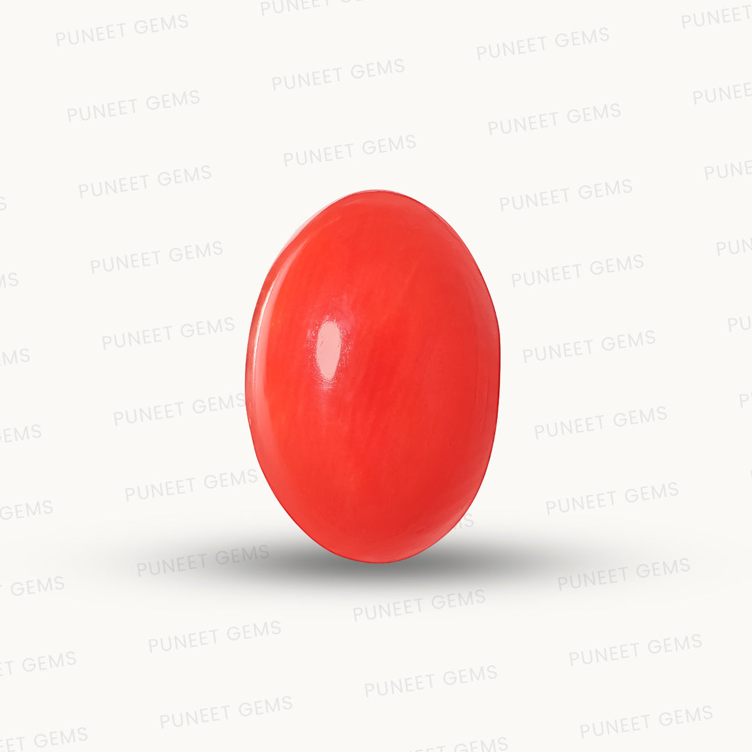 Red Coral Japanese – Natural Moonga for Strength 3.94 CT