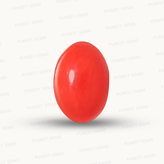 Red Coral Japanese – Natural Moonga for Strength 3.94 CT