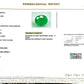 Natural Emerald (Panna) 5.21 CT – Certified Premium Gemstone