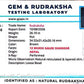 Nepali 12 Mukhi Gauri Shankar Rudraksha