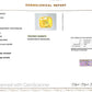 Natural Yellow Sapphire (Pukhraj) 5.93 CT - Certified