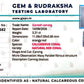 Coral Ganesh 3.21 CT – Certified Gemstone