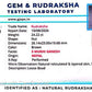 Nepali 5 Mukhi Ganesh Rudraksha