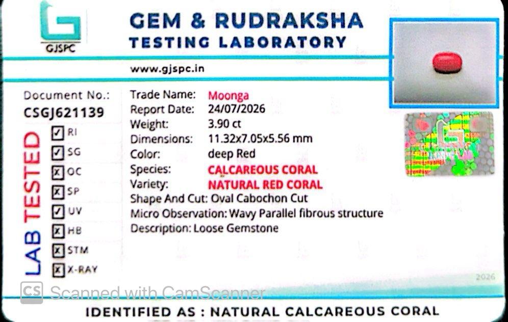 Natural Red Coral (Moonga) – Italy Origin – Certified & Untreated Gemstone for Mars Energy 3.90 CT